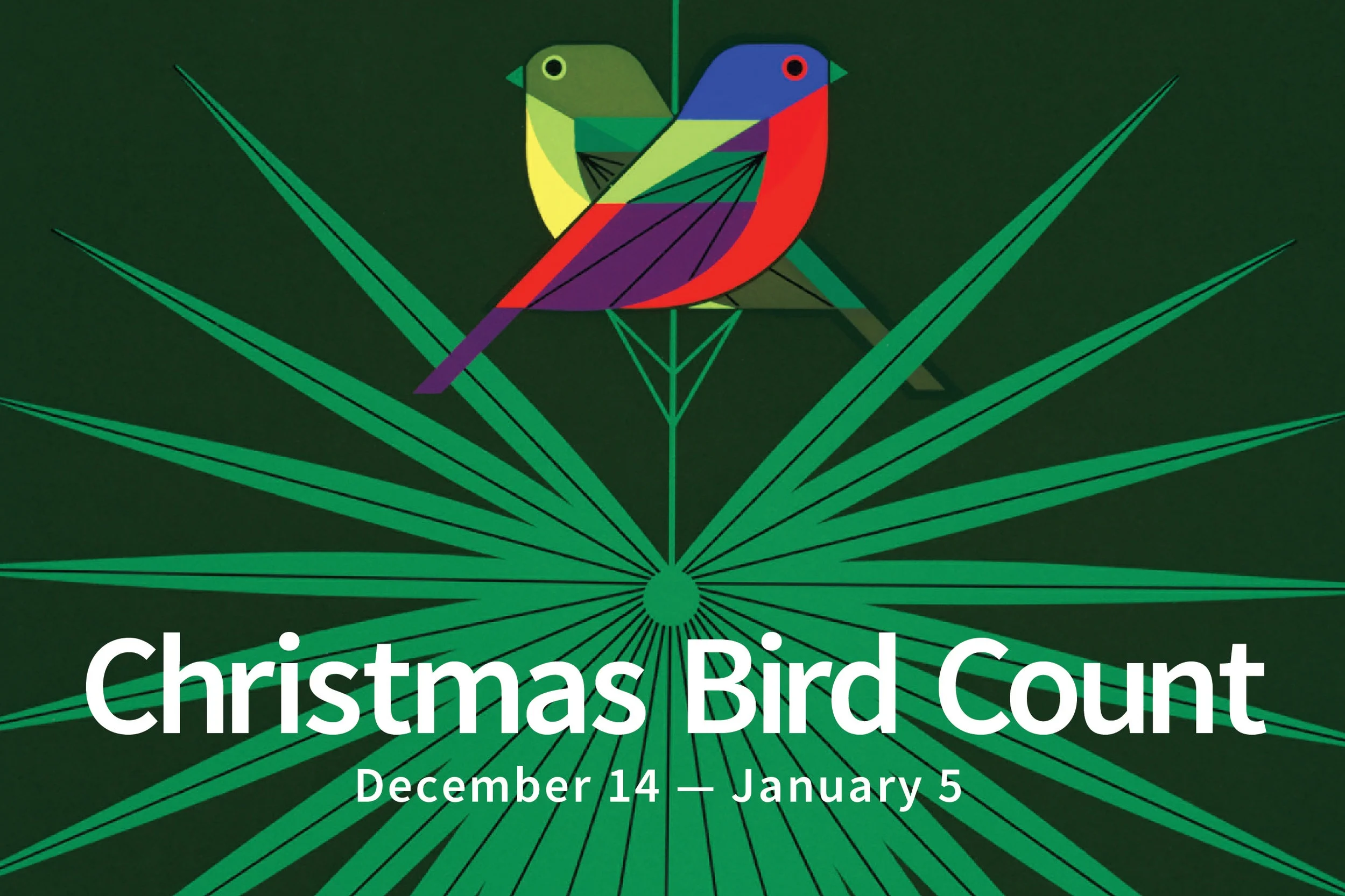 Sonoma Valley Christmas Bird Count