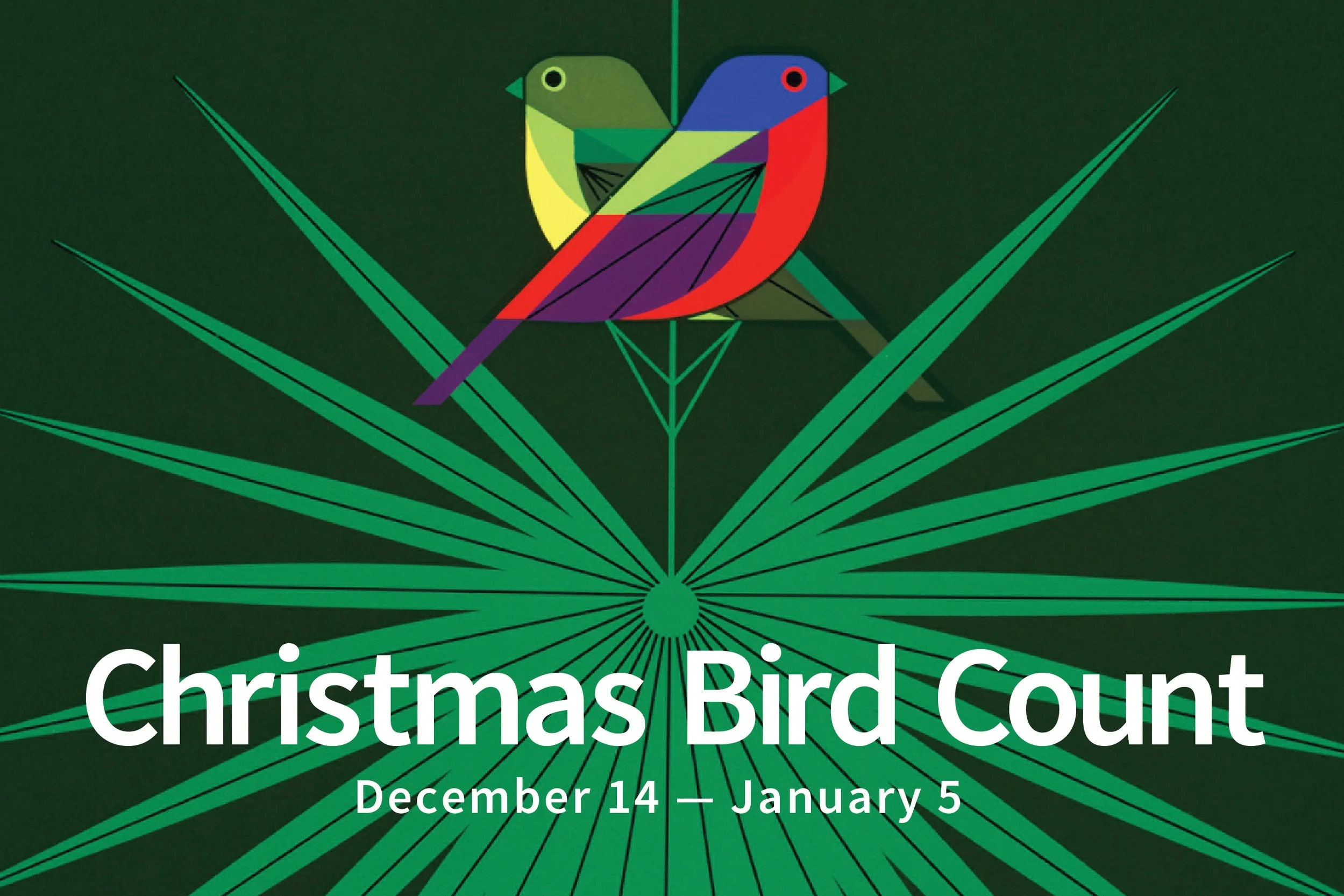 Santa Rosa Christmas Bird Count