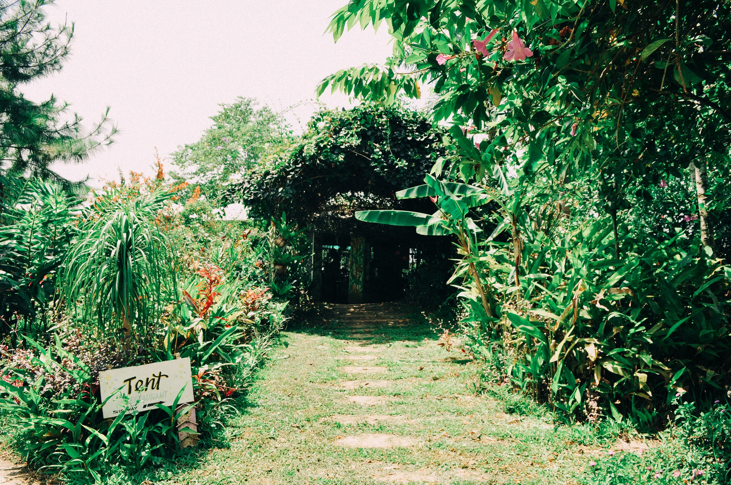 rapha002-47.jpg