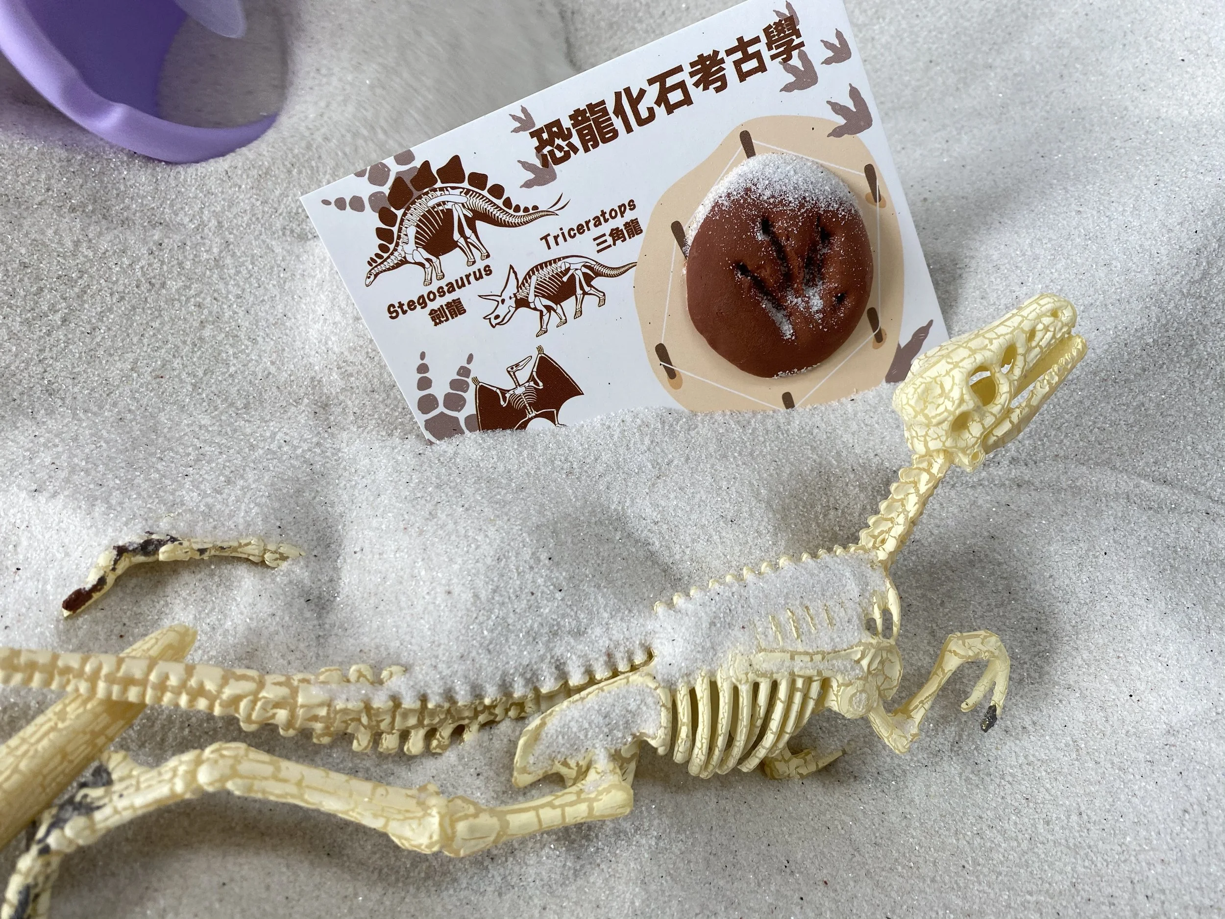 白光幼稚園開放日 - 恐龍時代