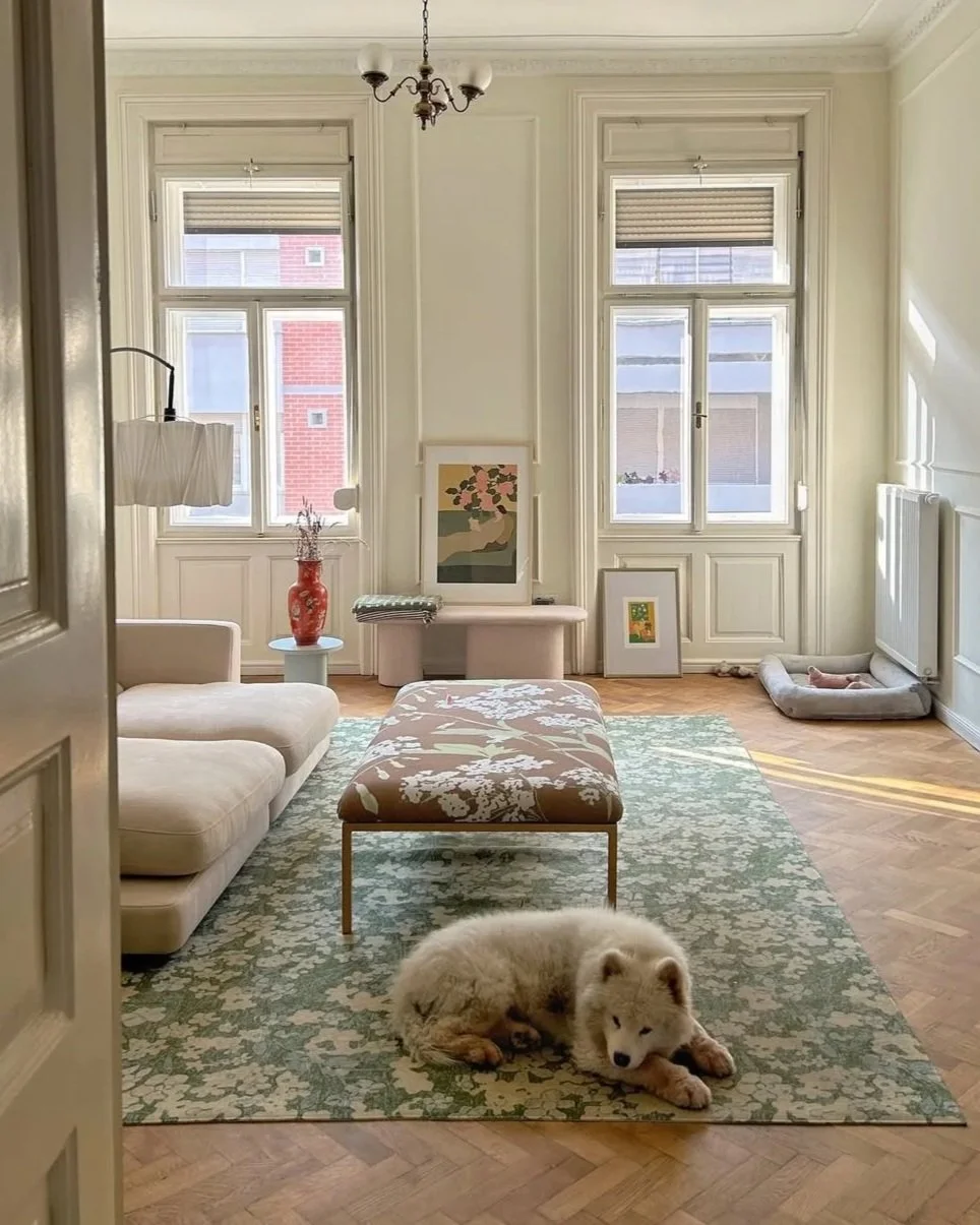 alja-horvat-dog-apartment.jpg