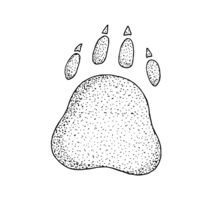 21.png