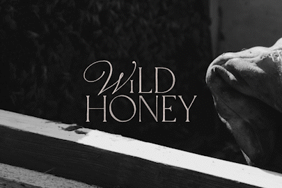 WILD HONEY GIF.gif