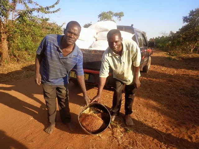 Land of Maize and Honey