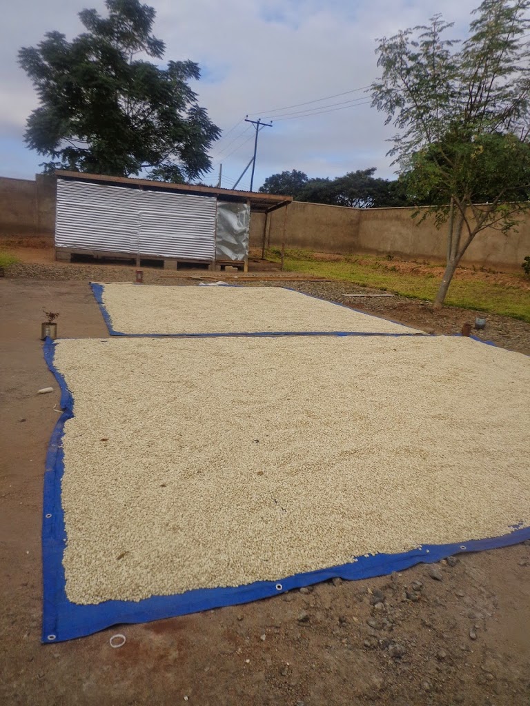 Fruits of Food Security