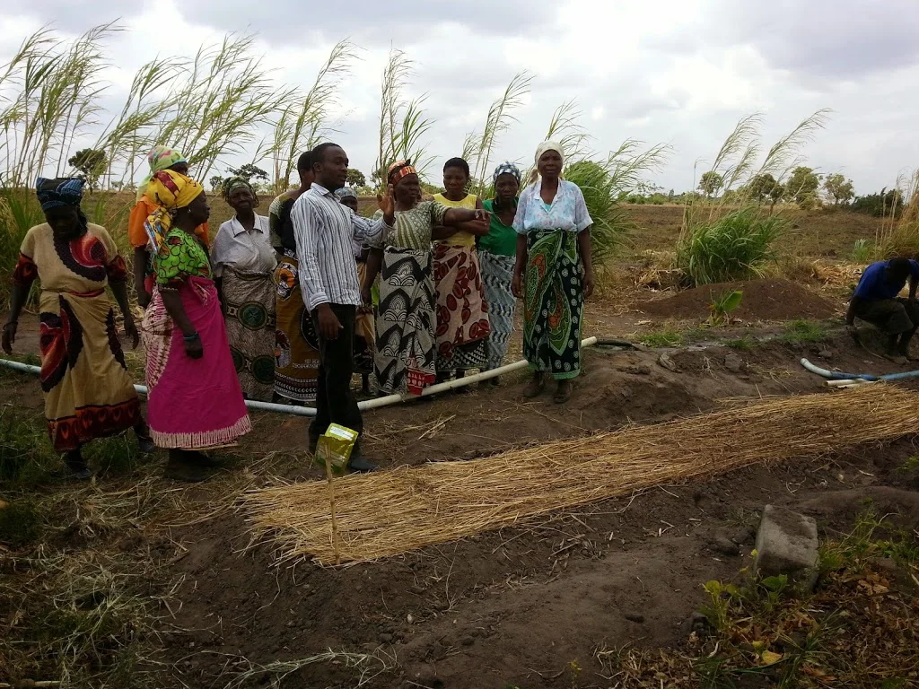 Learning from the demo garden