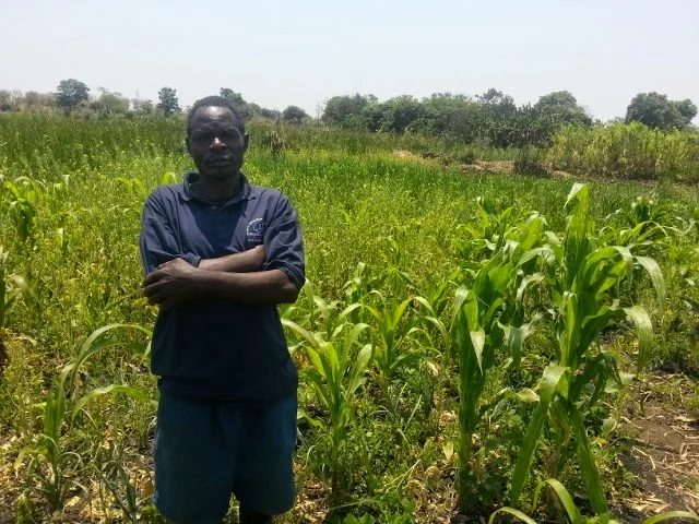 How many farmers does it take to feed a village?