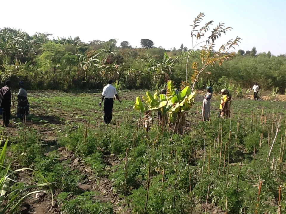 New Irrigation Sites with NAPHAM