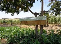 More about our beekeeping initiative...