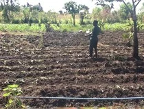 Get Your Hands Dirty