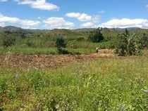 Developing an Irrigation Site