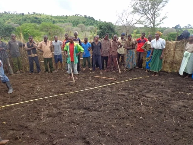 How to Make a Vegetable Nursery