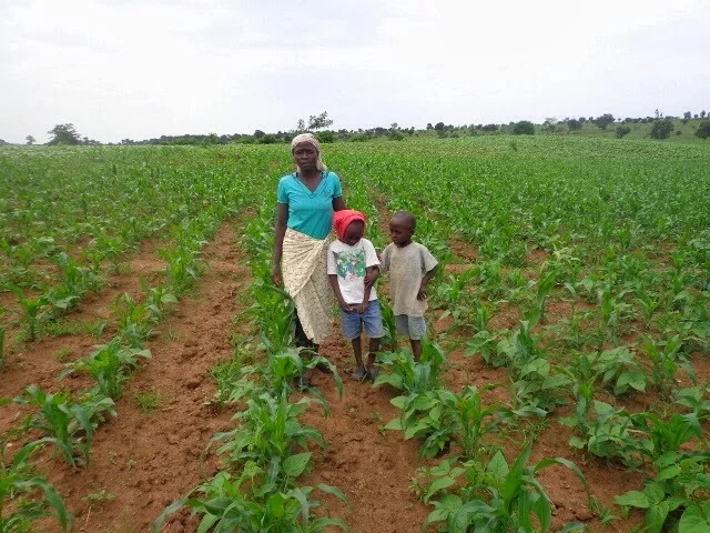 Getting Out of the Hunger Cycle