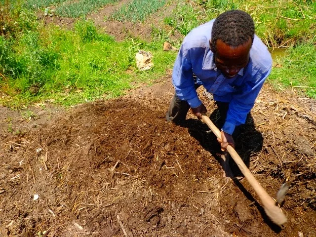 Mr Store does it again