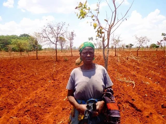 Farmers are ready for the rain at Mziza