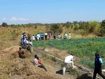Demo garden helps farmers understand what it takes...
