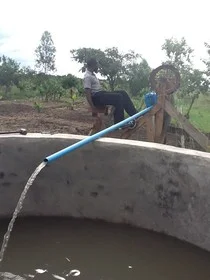 Pedal pump irrigation