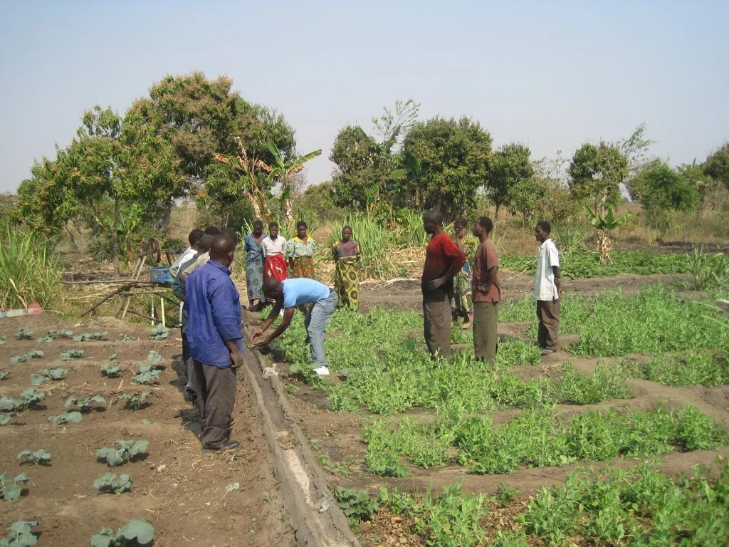 Water Delivery Structure: Canal Construction Training