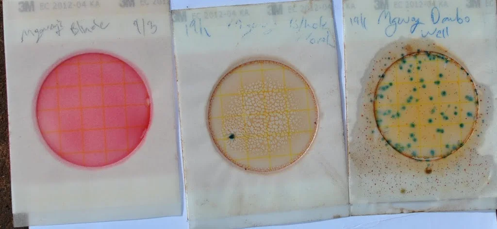 Solar Water Purification System Testing Today!