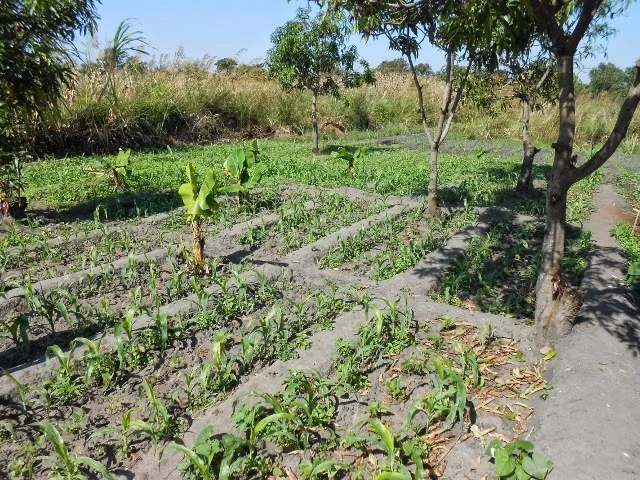 Visitors to the Demo