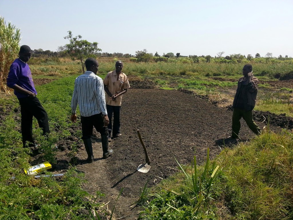 Mpombe lead farmers