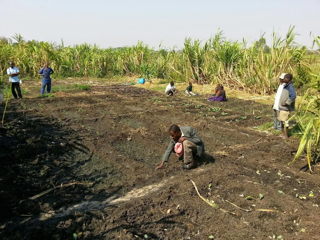 Malikha Community Garden