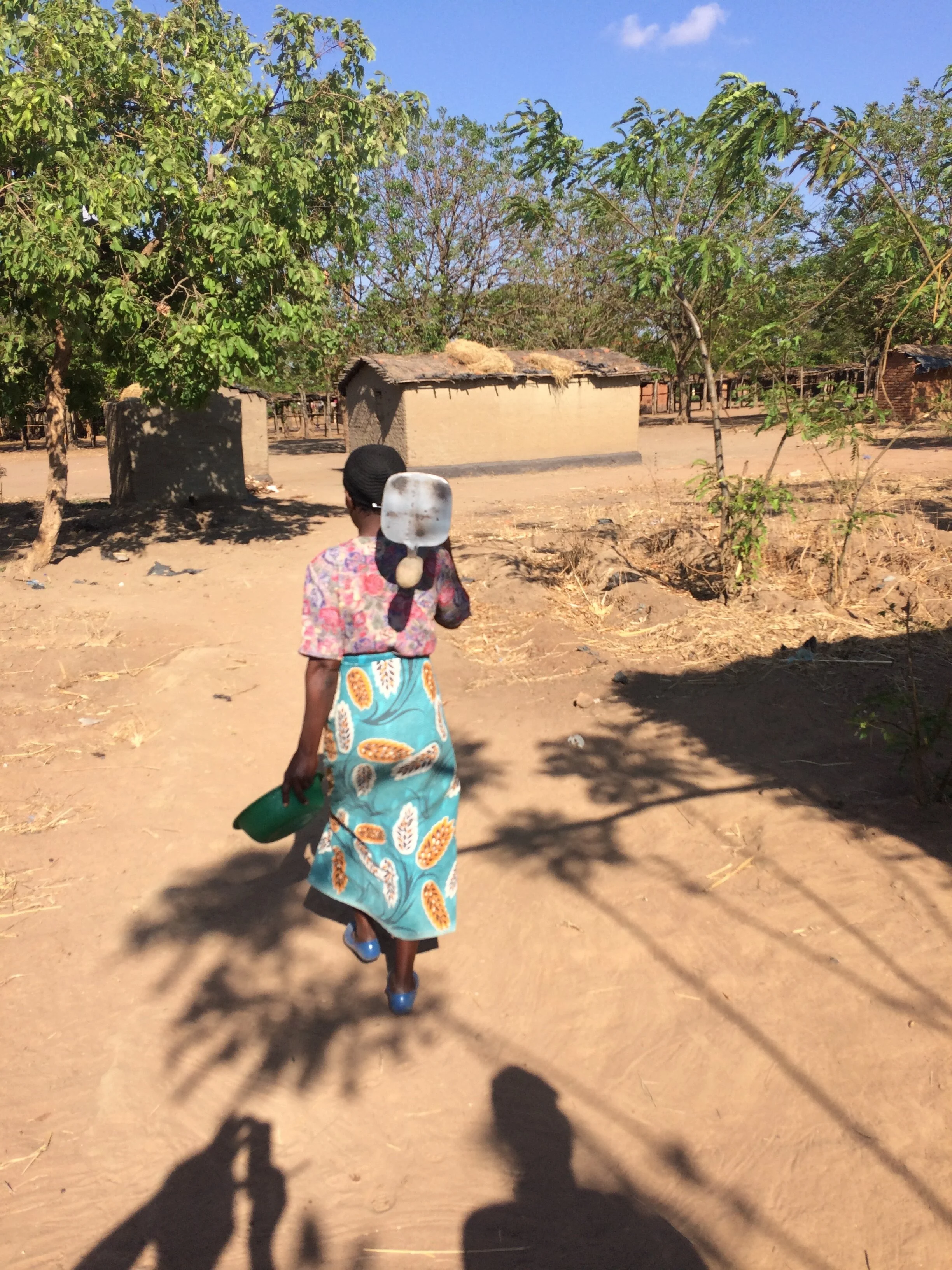 A Normal Day for Dorothy