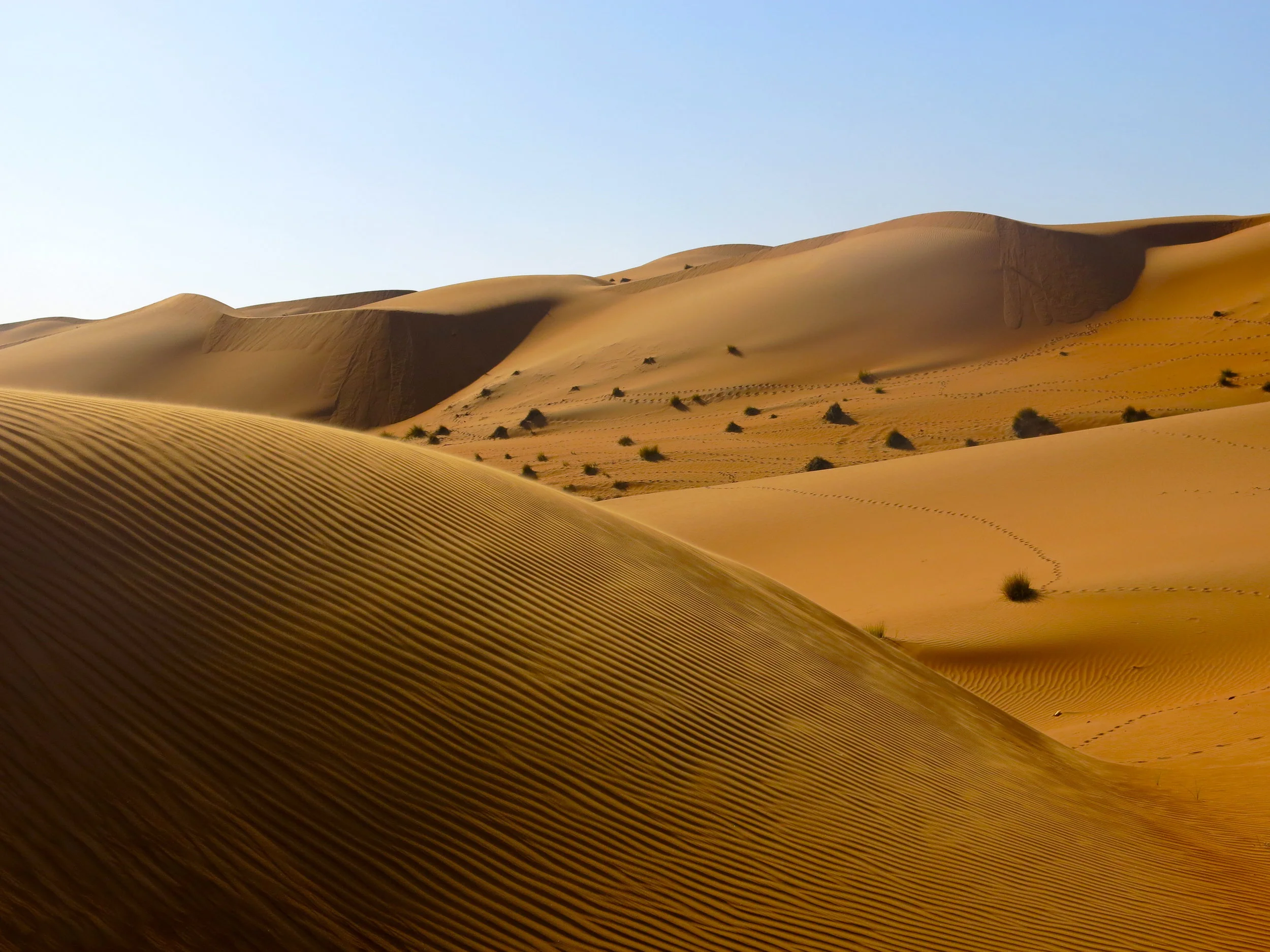 Alone on the red sand dunes of Wahiba Sands