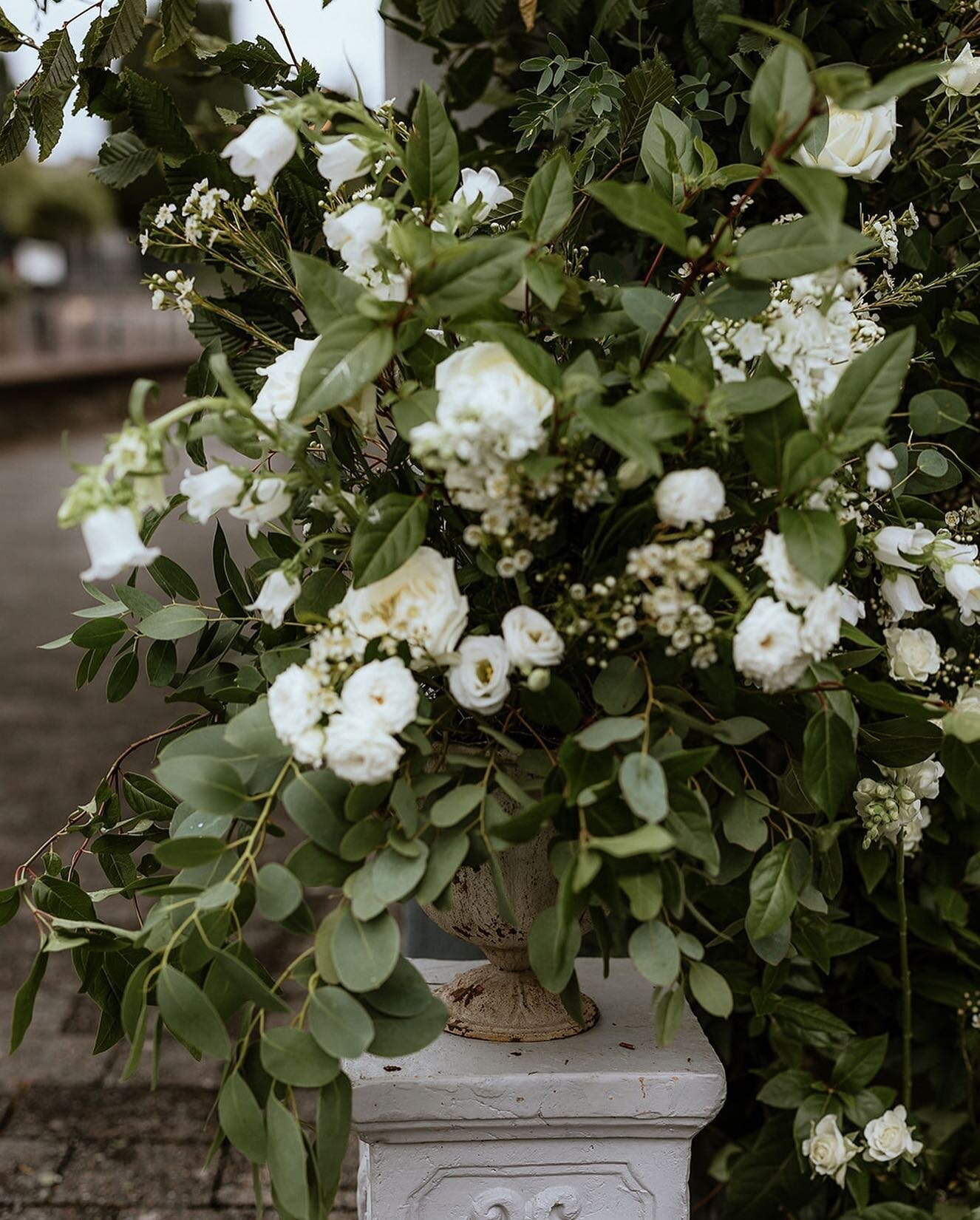 Monochrome floral urns for Sally + Liam, September 2022.

Our journey with Sally + Liam began in late 2021. We joined their supplier team to provide styling + design support for their wedding in Douglas and celebrations at the beautiful @castlemartyr