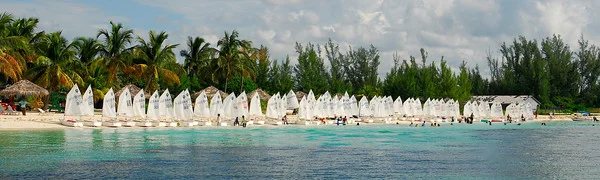 OPTI NATIONALS 2011  32178-M.jpg