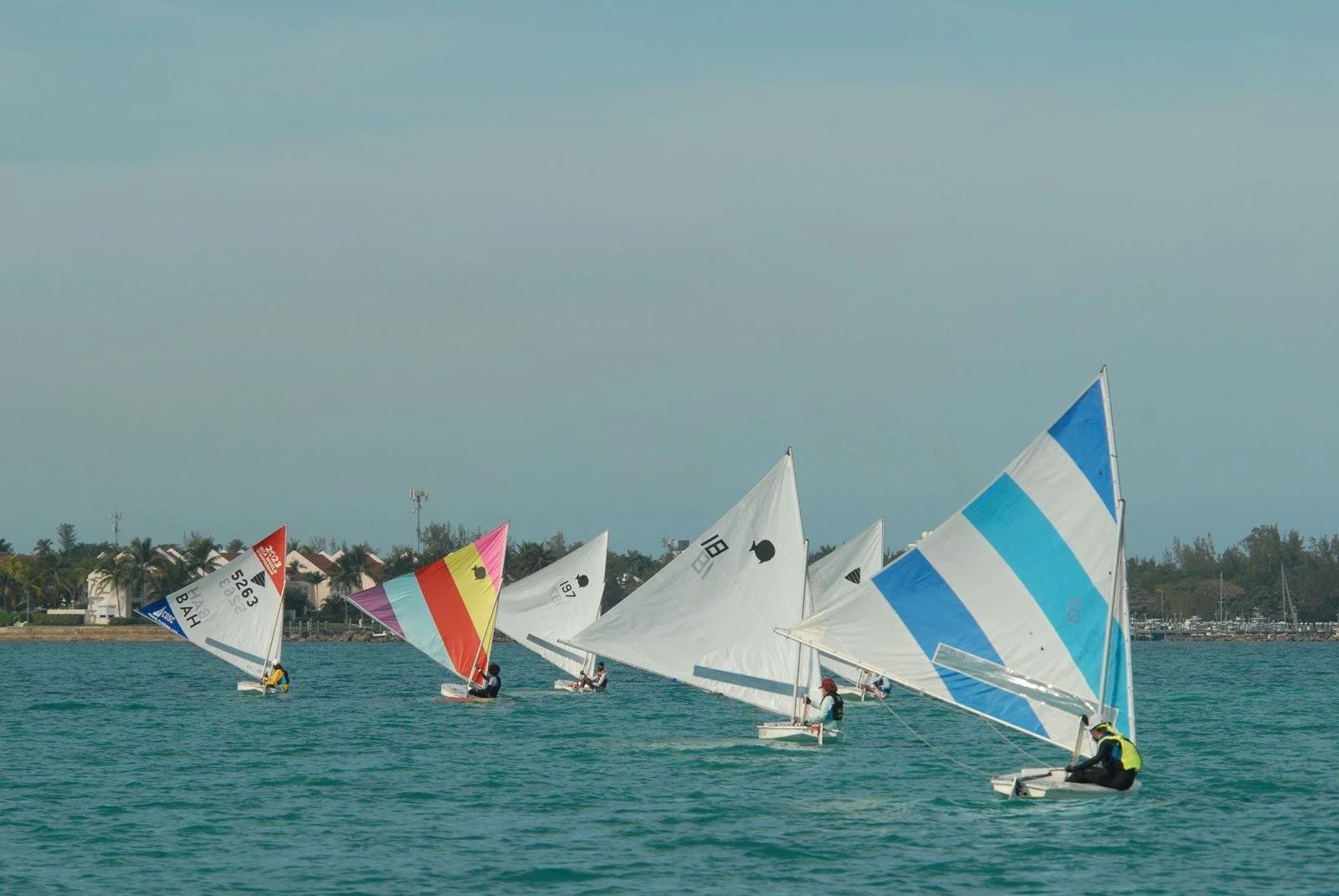 PHOTO-2026-01-11-18-44-07 (1).jpg