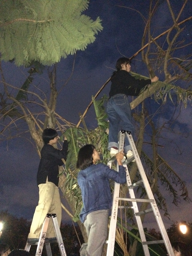 Skills practiced: brainstorm, sketch, measure, cut, construct, tie, climb, problem-solve, revise, meet deadline, publicize!