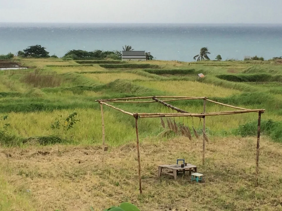 Shumi Runi, “The Story of Wine” installation-event in revived rice fields, Mikotaay exhibition