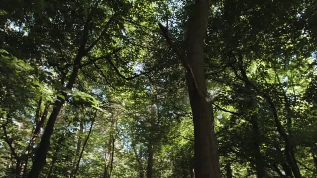 2018 Back to Back Theatre's RADIAL Dundee