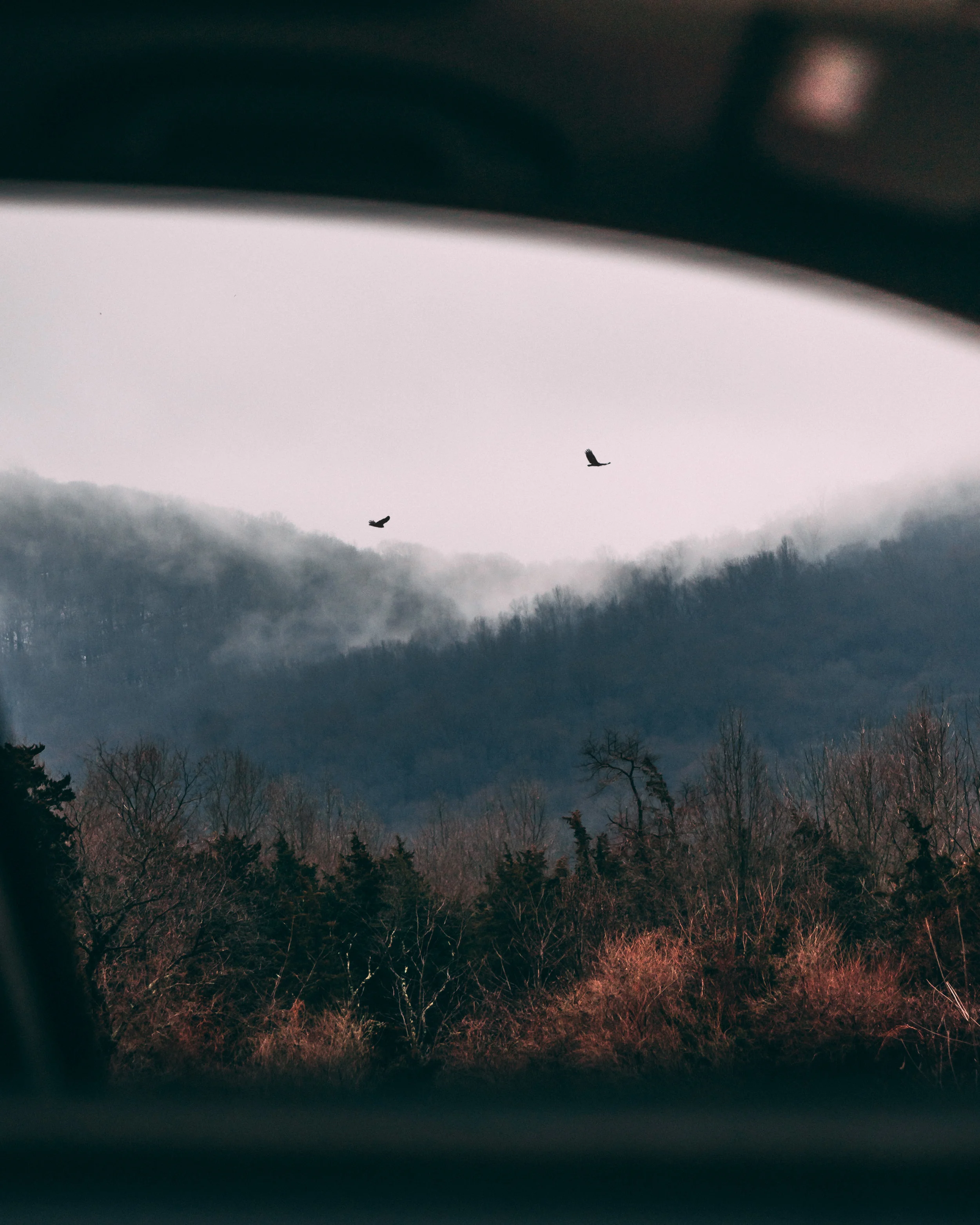 Moody New England