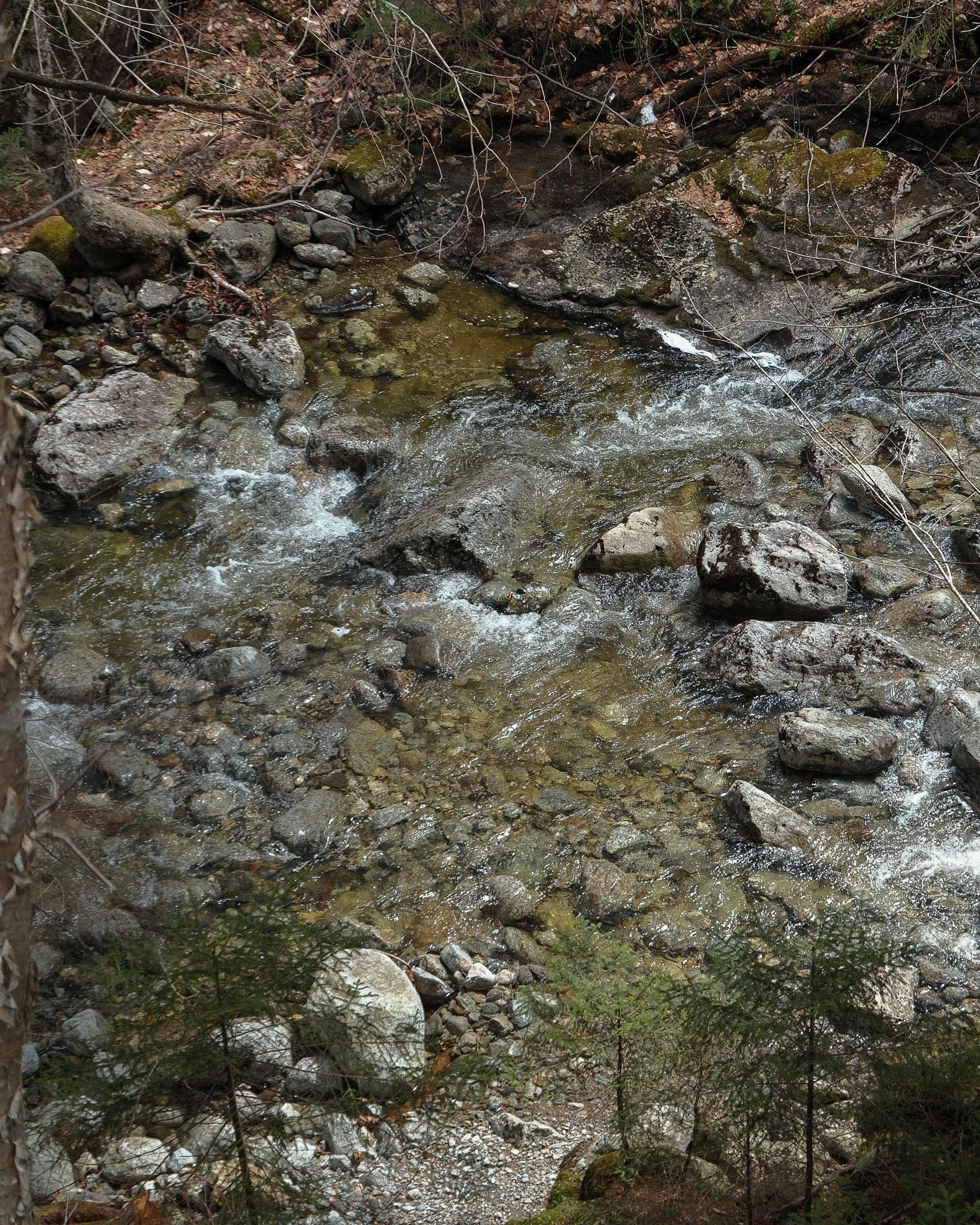 20250422_ADKSpring2025_frame_0462_7728 x 5152_RGB.jpg