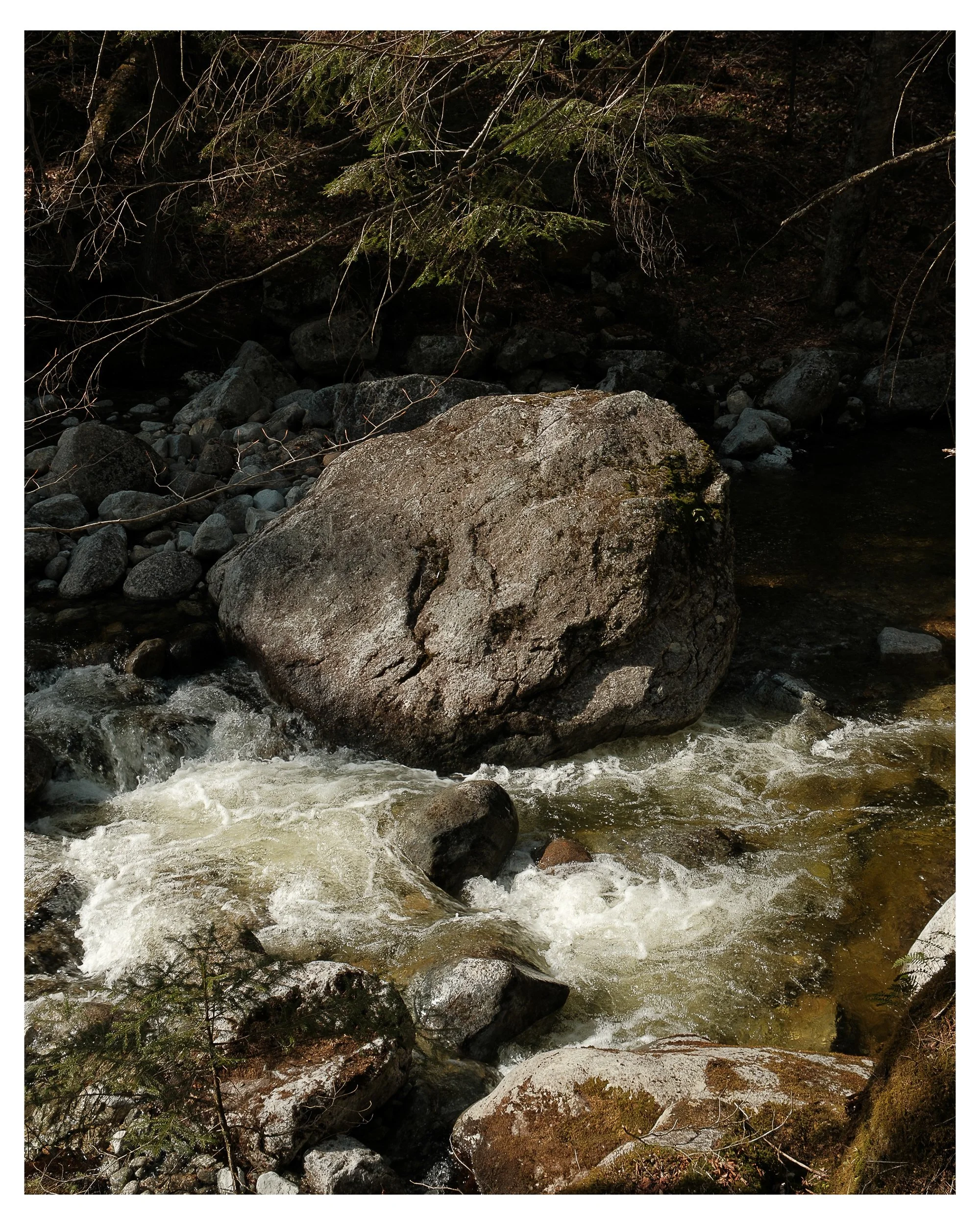 20250422_ADKSpring2025_frame__2000 x 2500_RGB-2 copy.jpg