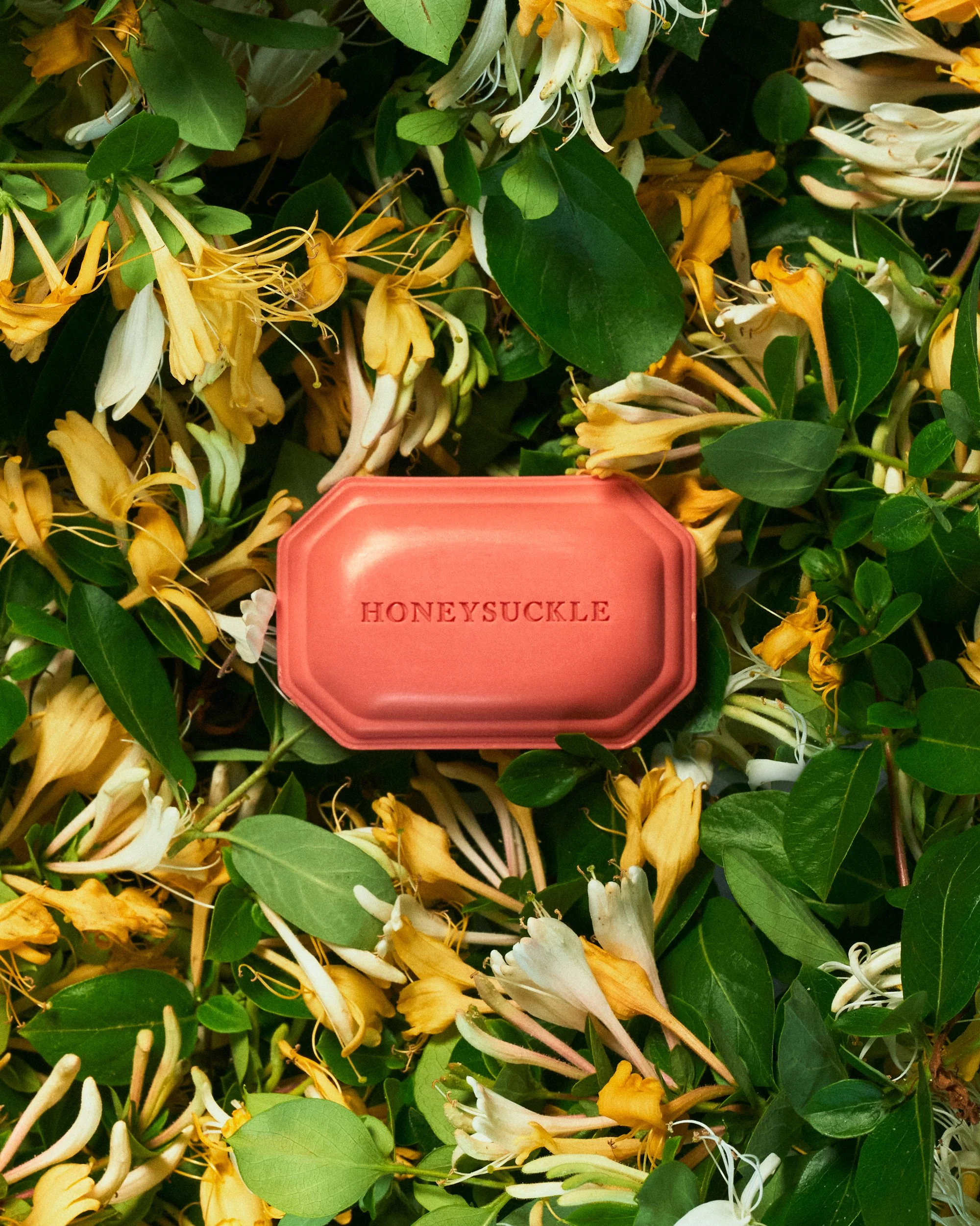 01-40642_HoneysuckleSoap_LifestyleLaydown_WorkingFIle_PM_0257_4543x6815px_RGB.jpg
