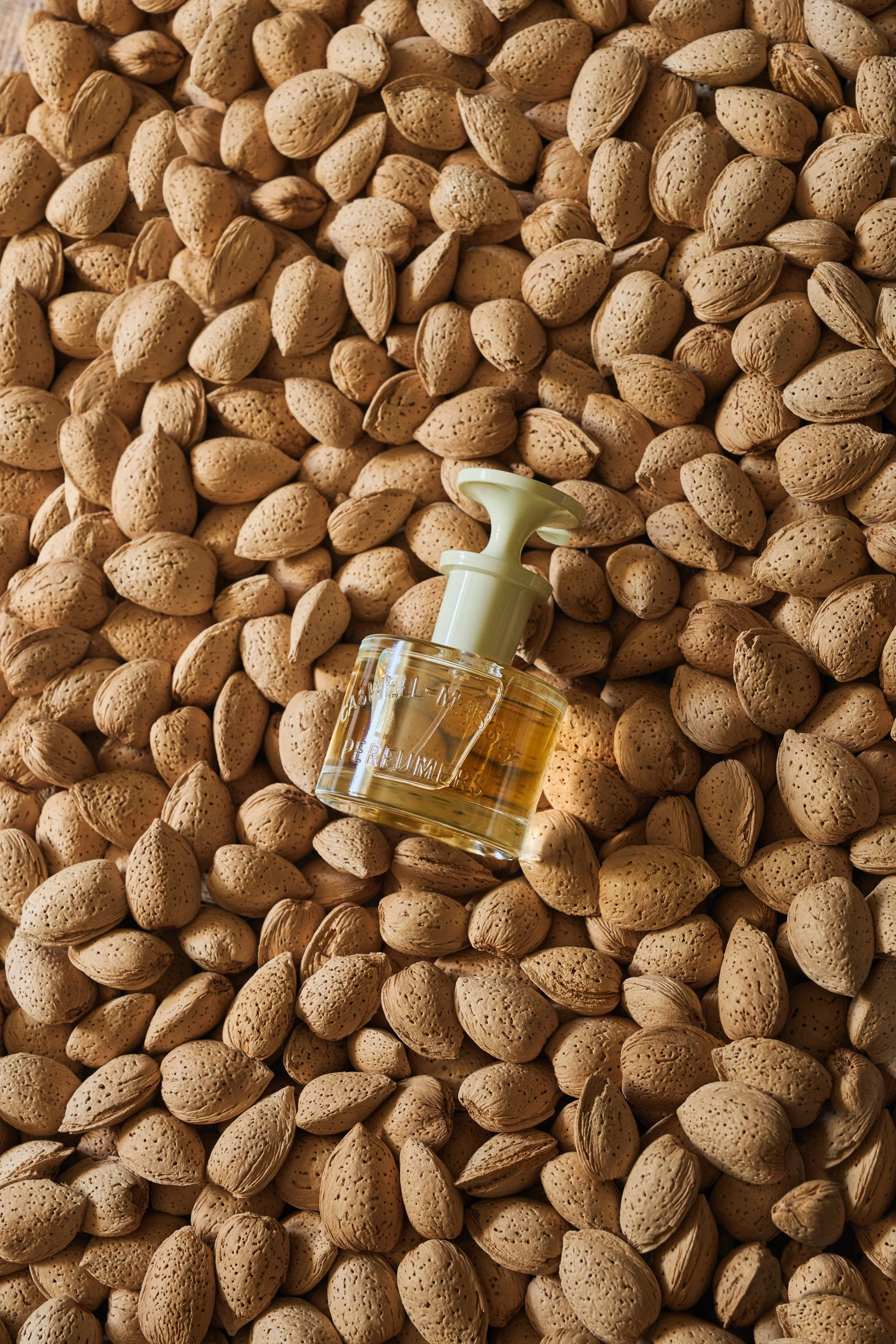 AlmondEDT_AlmondShellLaydown_PM_2525_4672x7008px_sRGB.jpg
