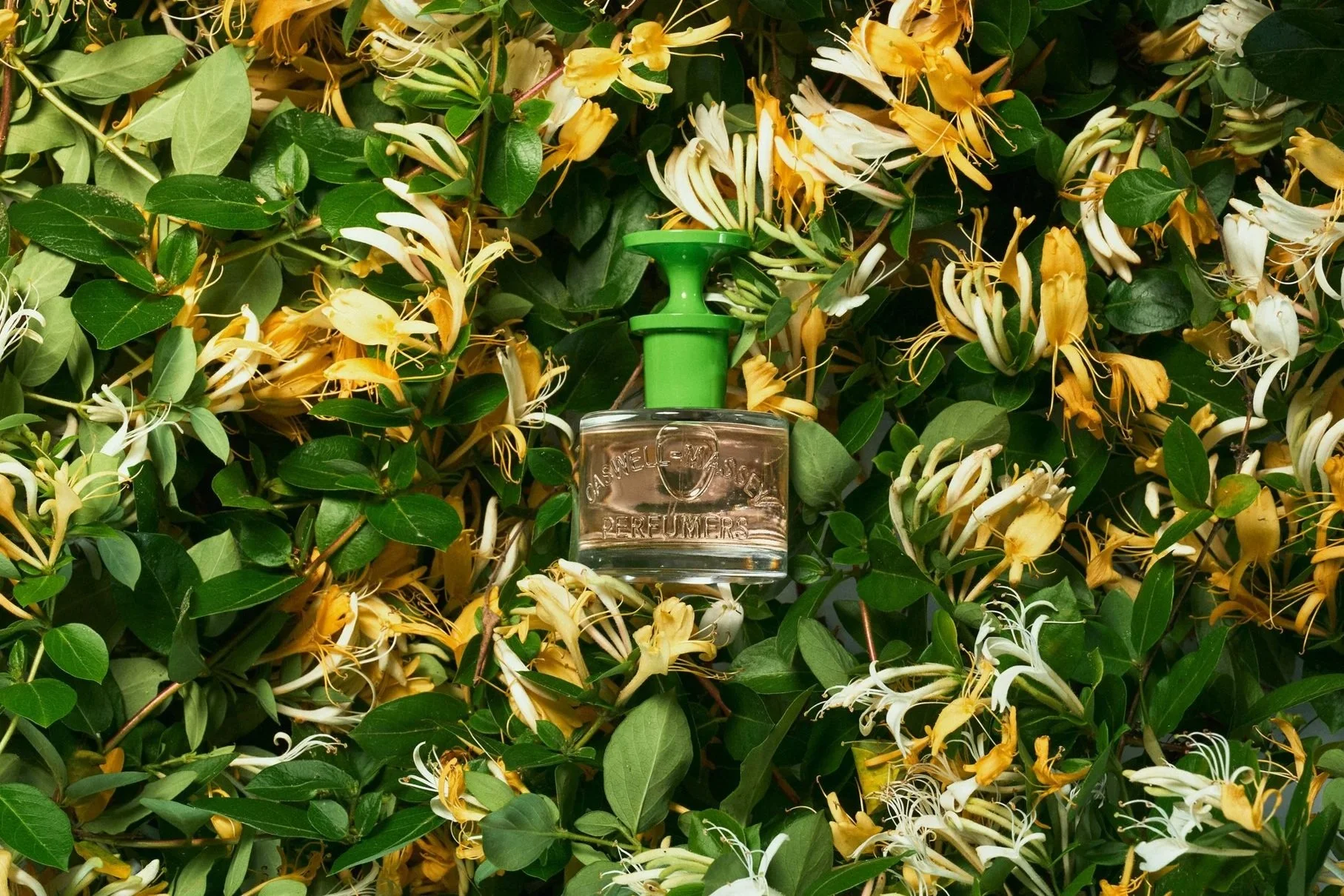 01-40646_Honeysuckle60mLEDT_LifestyleLaydown_PM_0212_6815x4543px_sRGB.jpg