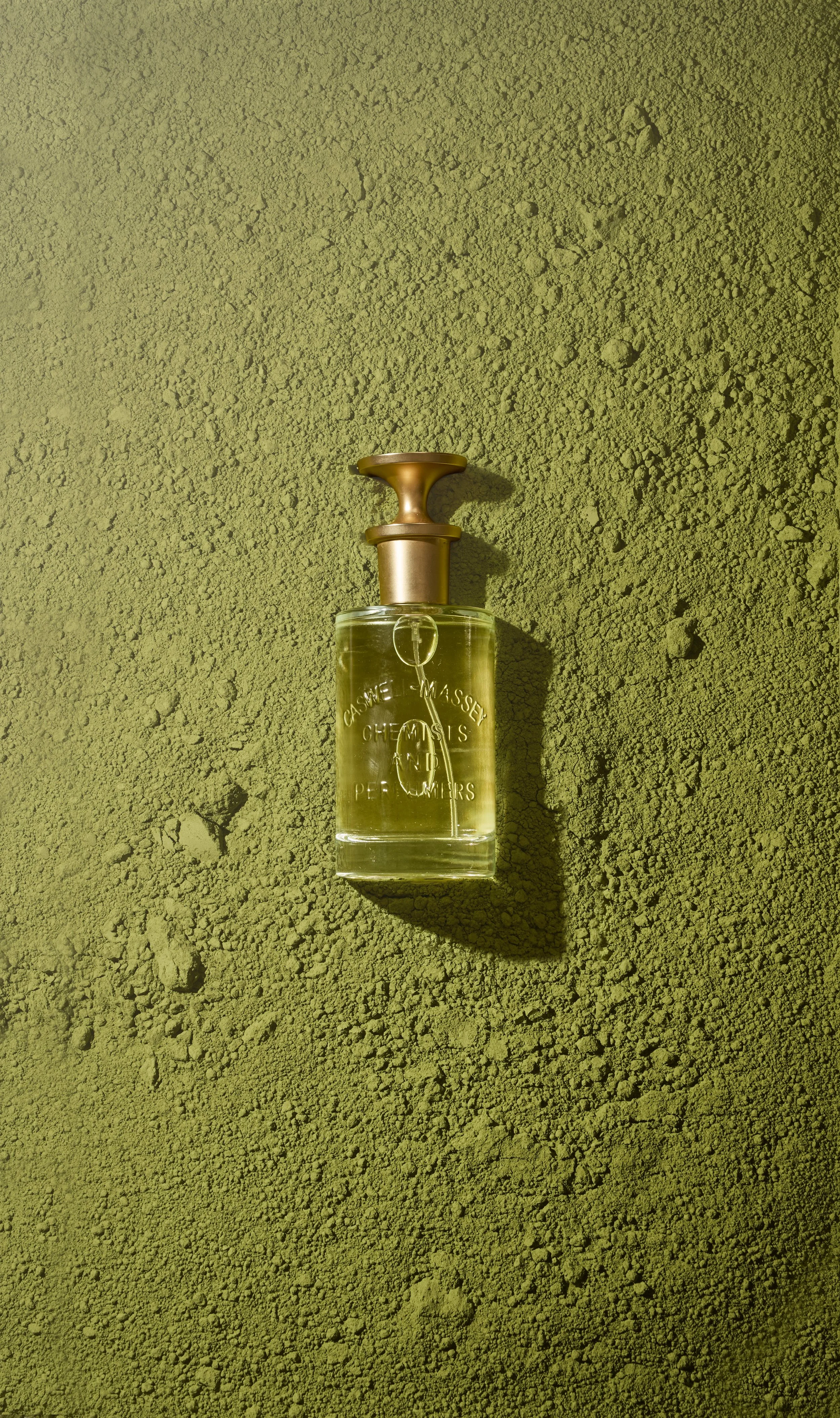 SeaboardMatcha_Teaser_StudioII_WorkingFile_PM_0106_2722x4840px_RGB.jpg