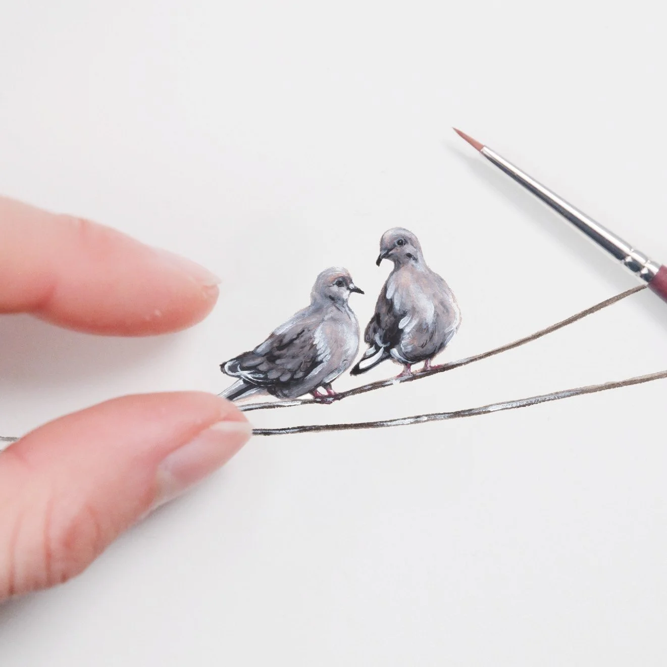 doves ORIGINAL.jpg