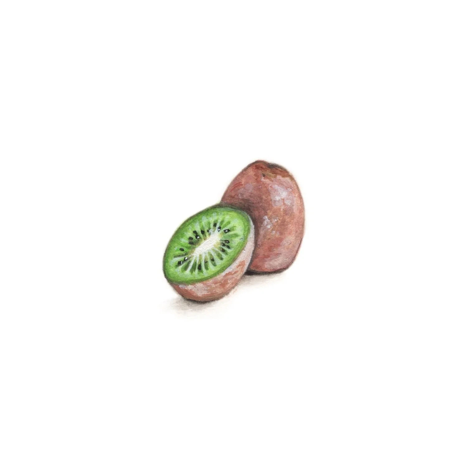 kiwi+PRINT.jpg