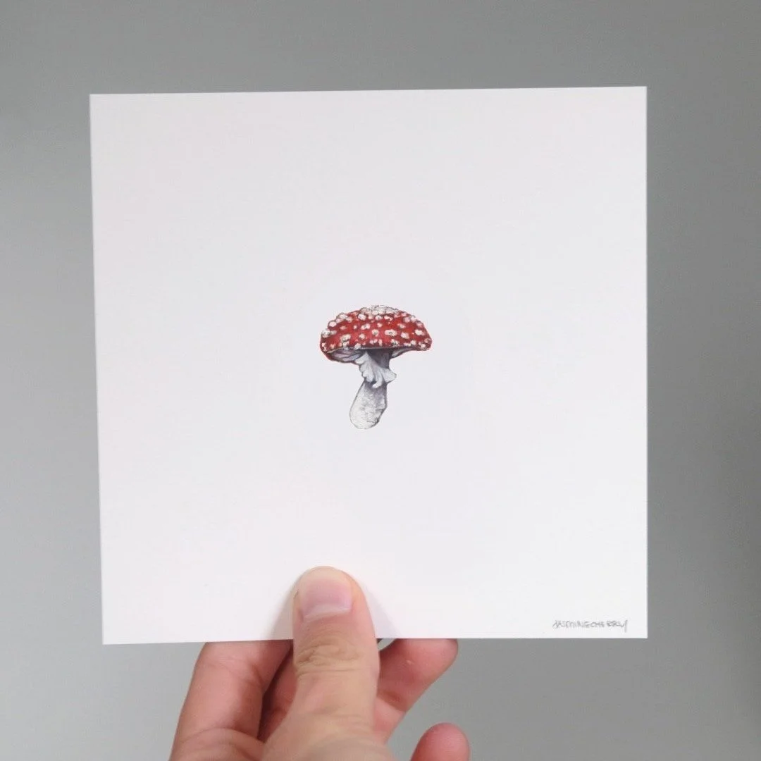 toadstool+HOLD.jpg