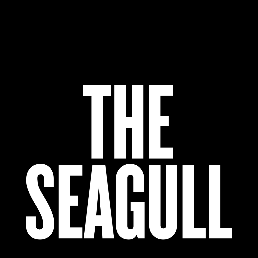 The Seagull
