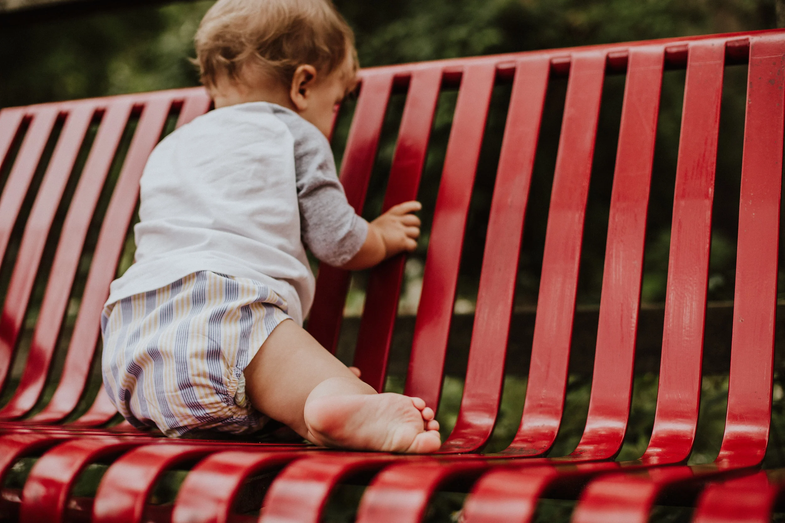 long island ny family photographer