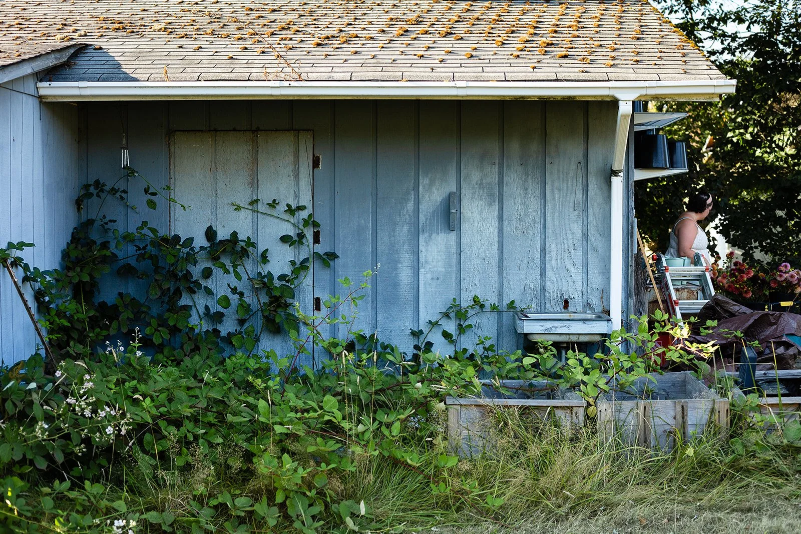 Backyard shed with overgrown plants, a woman standing near stack of outdoor chairs, and garden supplies.