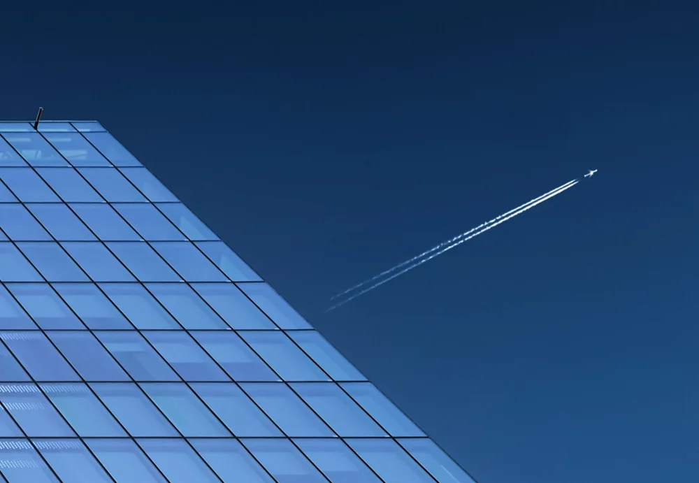 100% crop of the image #2
