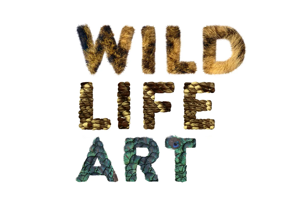 Landesmuseum-Natur-und-Mensch-Artwork-Leitmotiv-Keyvisual-Austellung-Design.jpg