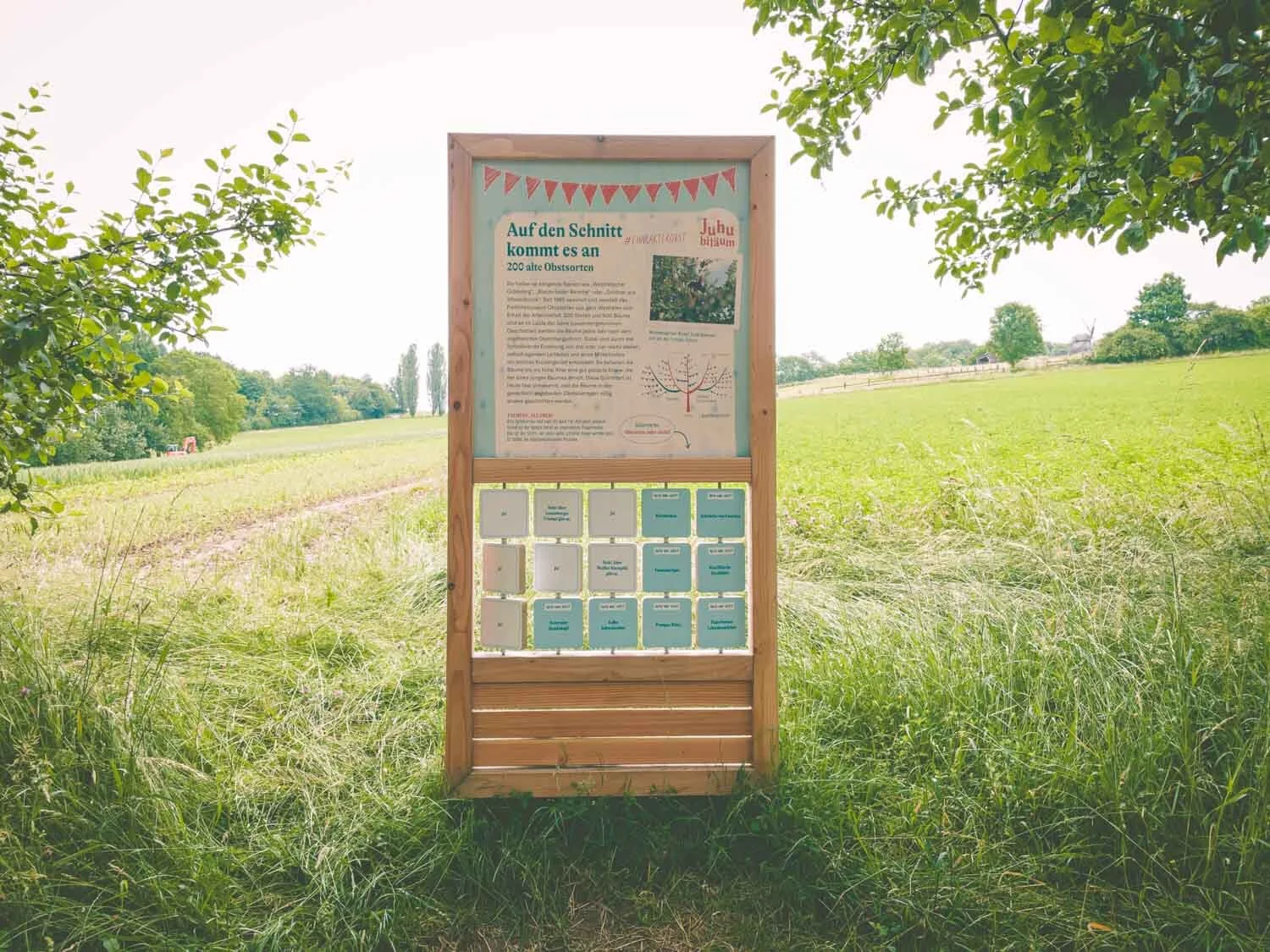 Kreative Ausstellungstafeln und Infotafeln für ein Museum